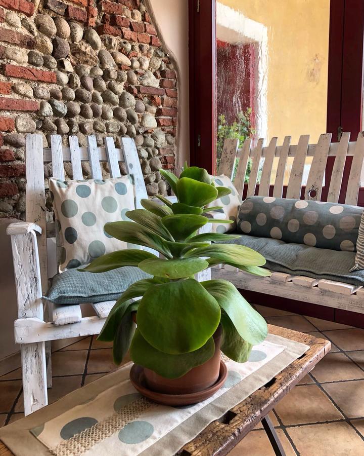 Agriturismo Borgo Tecla Роза Экстерьер фото